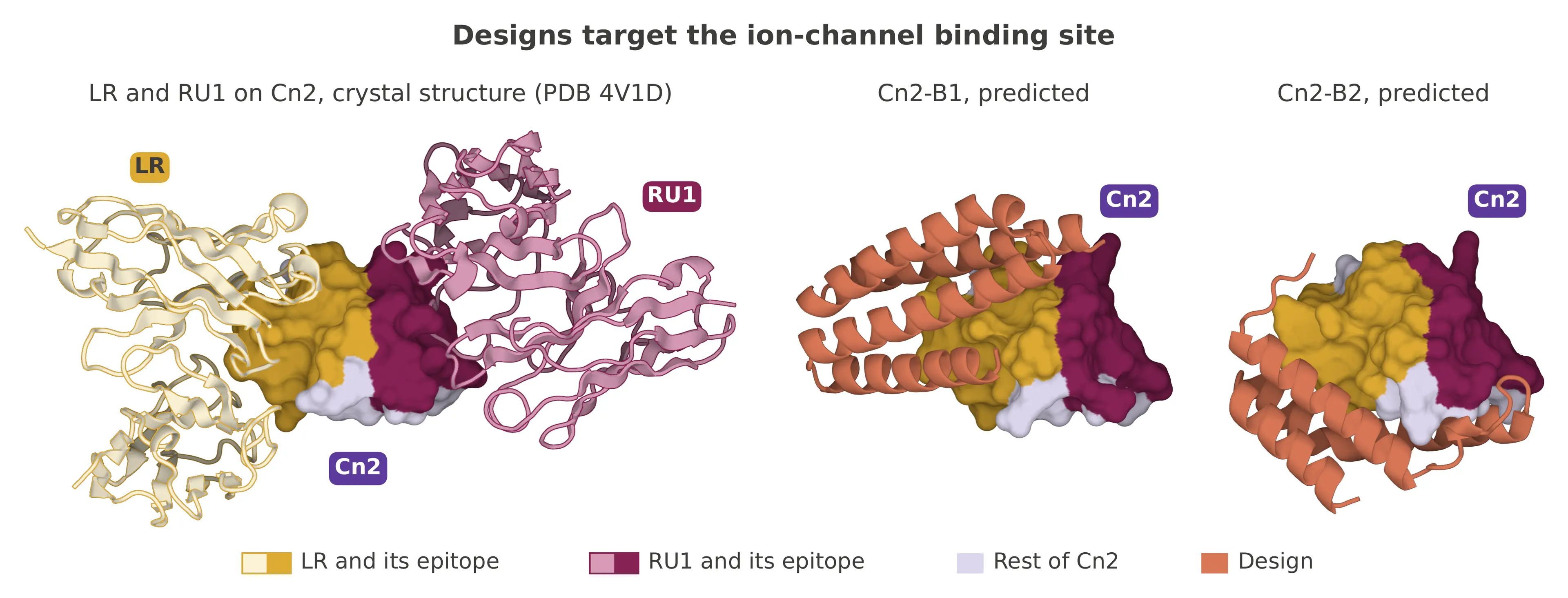 How Claude designed protein binders against scorpion neurotoxins