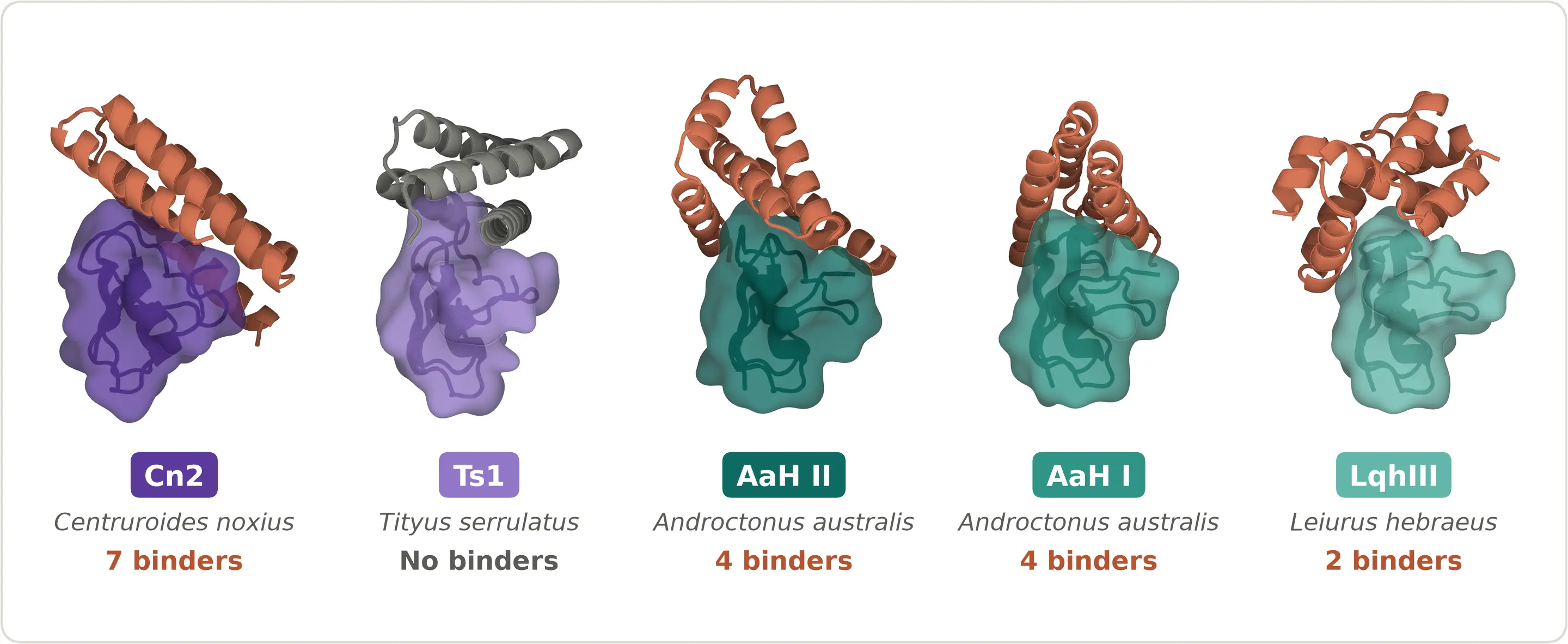 How Claude designed protein binders against scorpion neurotoxins