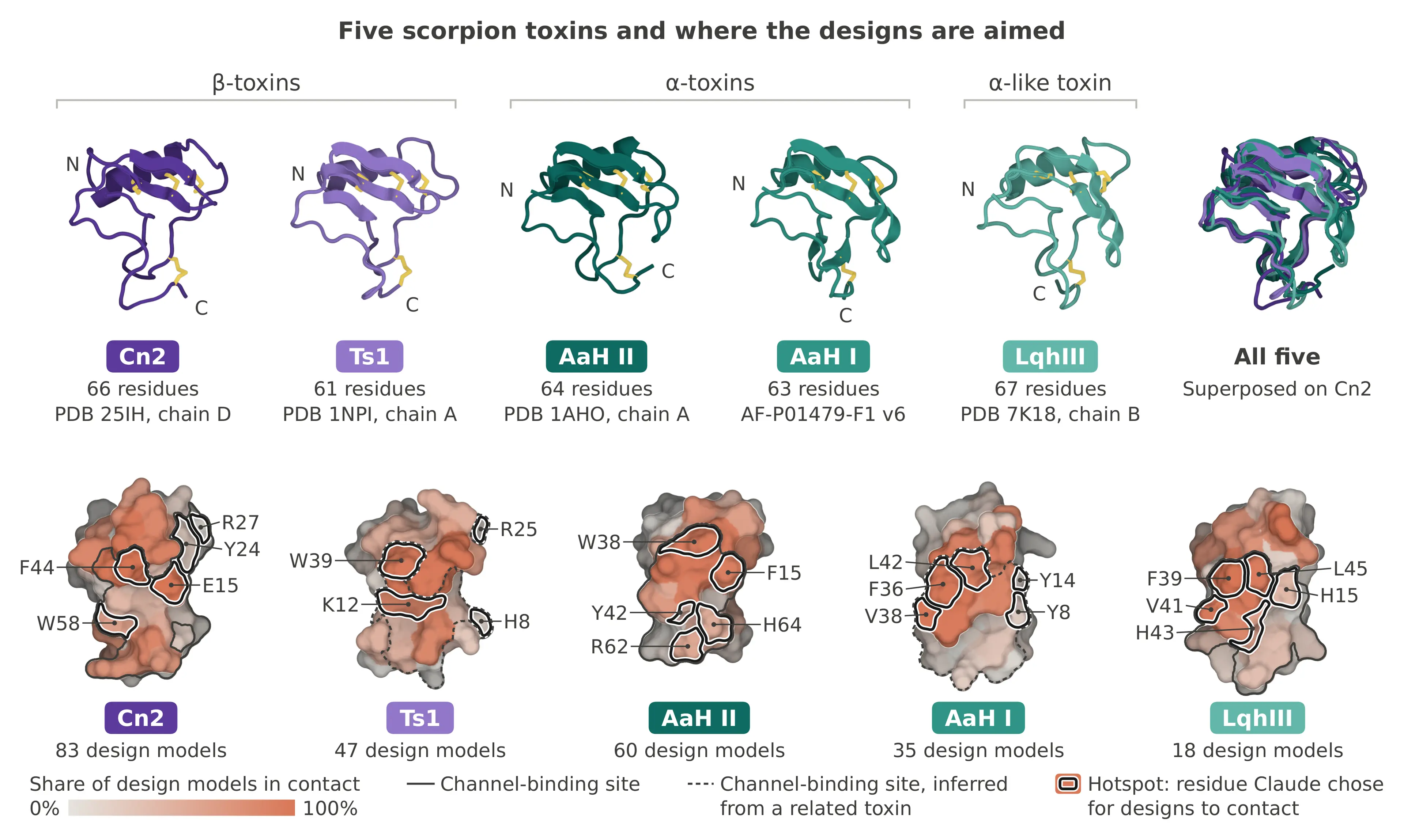 How Claude designed protein binders against scorpion neurotoxins
